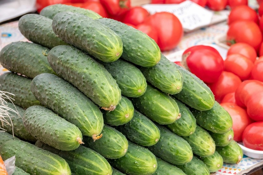 CUCUMBER