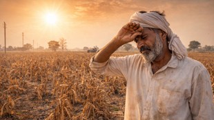 Rising Temperatures and the Global Agriculture Crisis A Call for Action