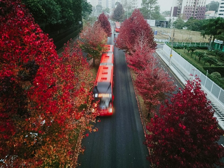 Curitiba, Brazil