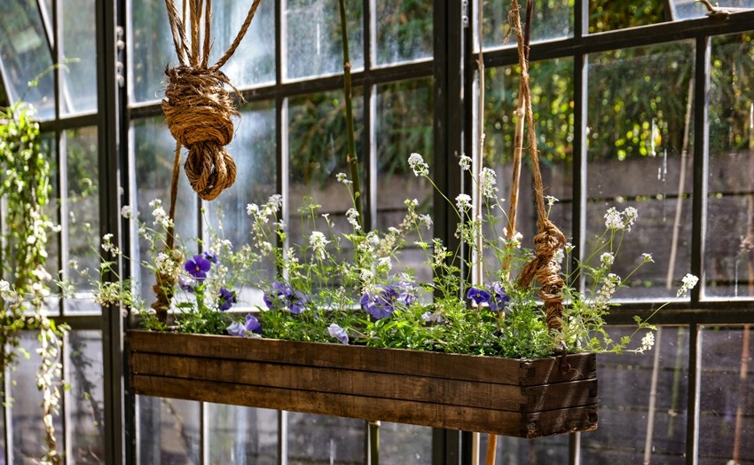 DIY Hanging Planters