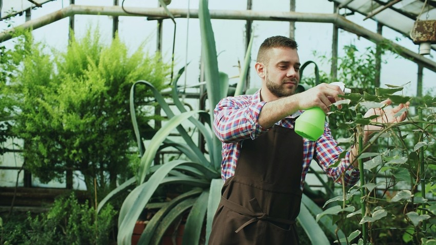 FEED DURING GROWTH
