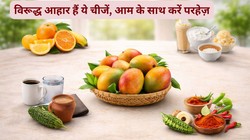 आम के साथ बिल्कुल भी न खाएं ये 5 चीजें, एक्सपर्ट ने बताया क्यों सेहत के लिए भारी पड़ सकता है ये कॉम्बिनेशन