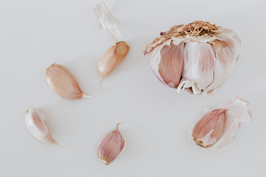 GARLIC