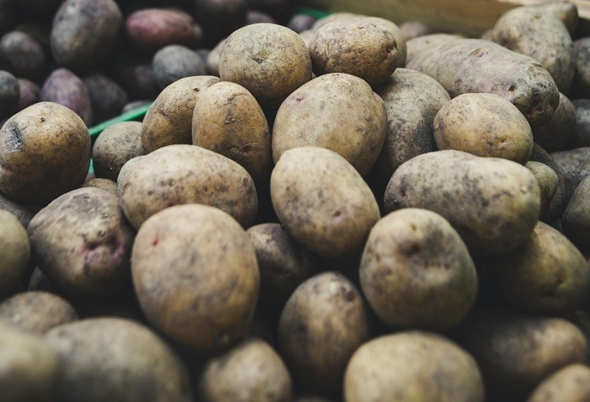 GREEN POTATOES