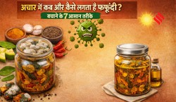 अचार में कब और कैसे लगती है फफूंदी, बचाव के 7 आसान तरीके