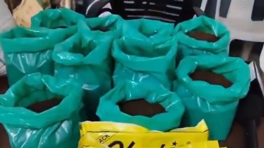 Hyderabad Tea Adulteration Racket Busted 3000 Kg Fake Tea Seized 10 Arrested