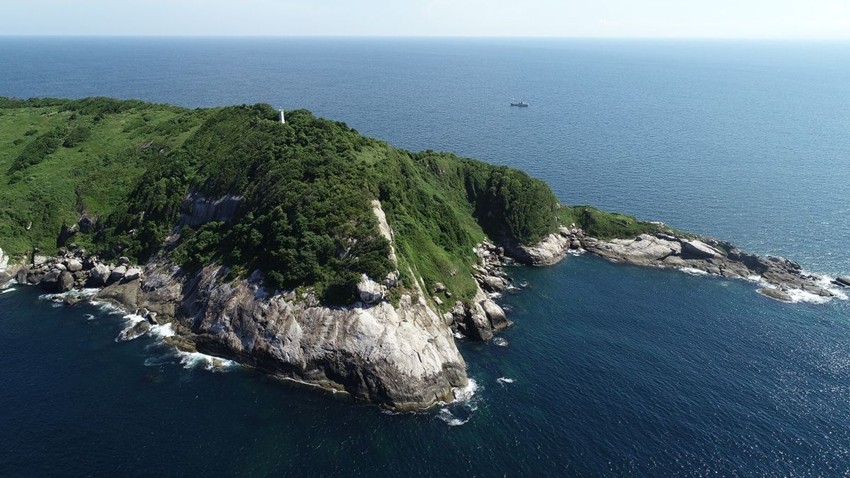 ILHA DA QUEIMADA GRANDE (BRAZIL)