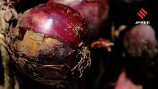 Is That Mold on Your Onion Experts Reveal the Truth