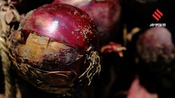 प्याज के काले धब्बों को नजरअंदाज करना पड़ सकता है भारी, जानिए कितना सुरक्षित है ये