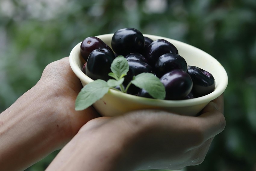JAMUN