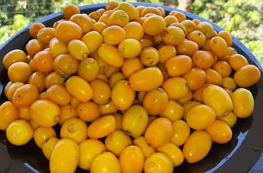 KHIRNI