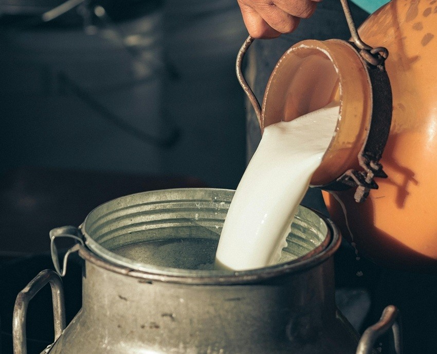 Milk adulteration