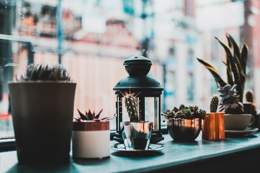 Mix Plants With Existing Decor