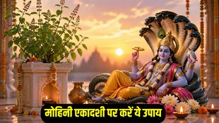 Mohini Ekadashi Upay 2026, Mohini Ekadashi date 2026