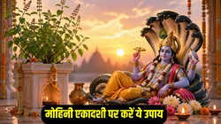 मोहिनी एकादशी पर करें तुलसी से जुड़े ये उपाय, जीवन में आ सकती है सुख- समृद्धि