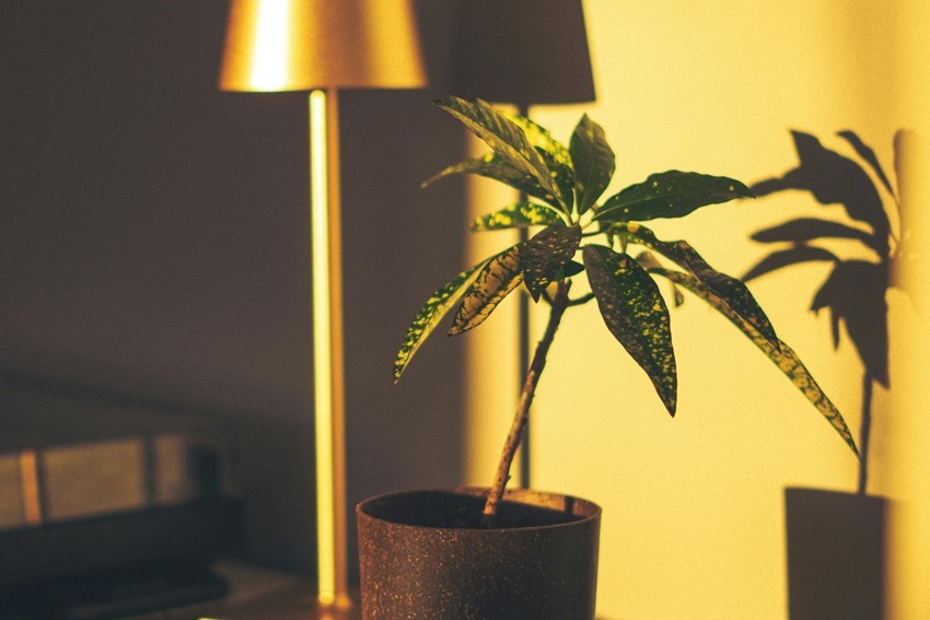 Natural Light Smartly