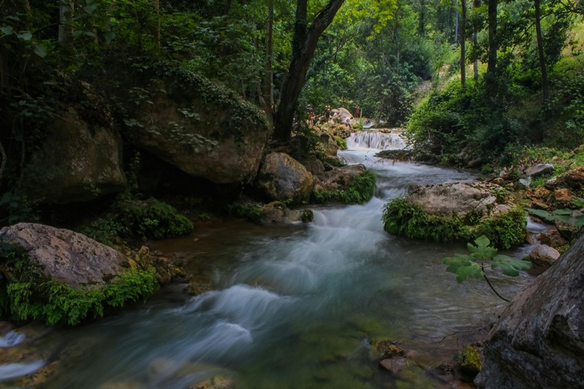 Natural Processes