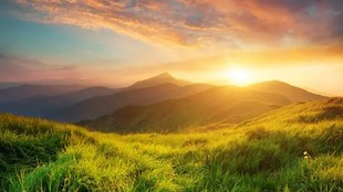 silence and mind healing, mindfulness nature