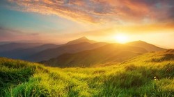 उत्पादकता के जुनून में खो रहा है मन, स्थिरता को समझ लिया गया है आलस्य, प्रकृति का मौन संवाद जीवन की सबसे बड़ी जरूरत | दुनिया मेरे आगे