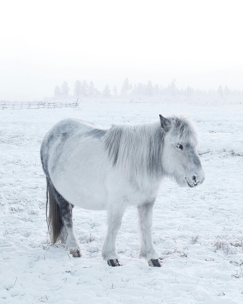 OUYMIAKON (RUSSIA)