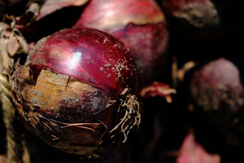 Onion storage tips