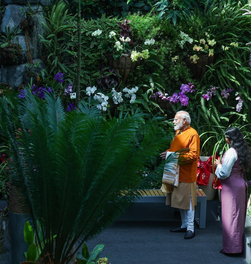 orchid conservation India
