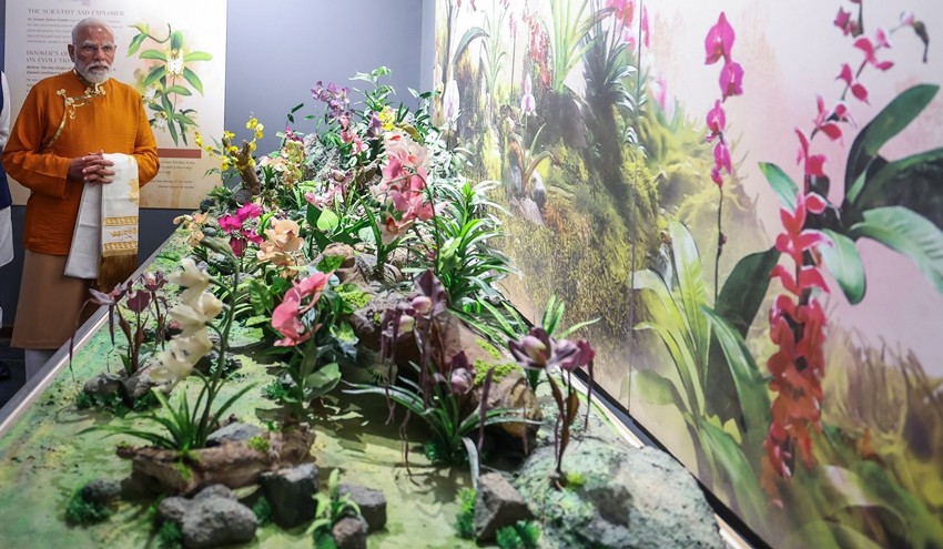 Gangtok Orchidarium