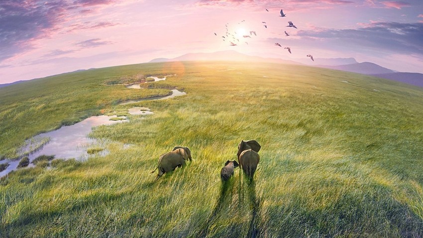 Planet Earth (BBC)