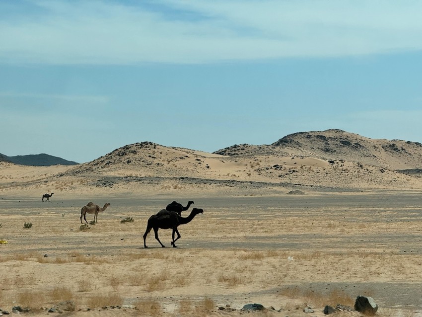 SAUDI ARABIA
