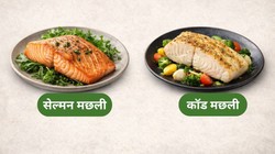 कॉड V सैल्मन: कौन सी मछली खाने से दिल के लिए बेहतर मिलेगा ओमेगा-3, डायटीशियन से जानिए