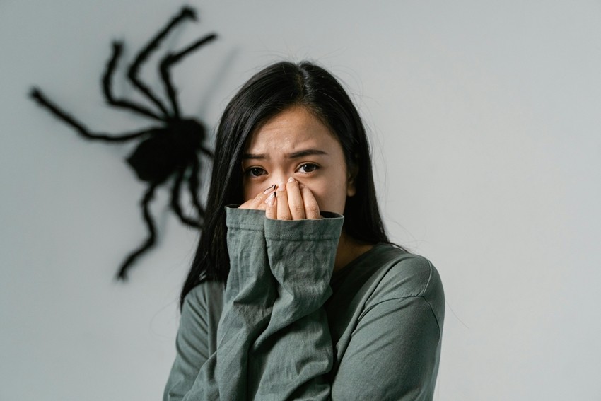 SMELLS FEAR