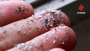 Smart Lifestyle Changes to Reduce Microplastic Intake