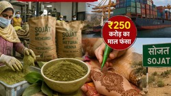 युद्ध के कारण फीका पड़ा मेहंदी का ‘रंग’, सोजत की फैक्ट्रियों में उत्पादन घटा; करोड़ों का माल फंसा