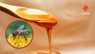 Story Behind a Spoon of Honey