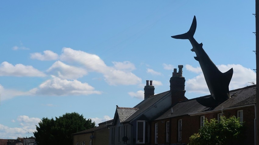 The Headington Shark