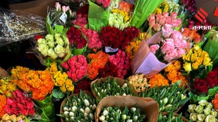 The Secret Language of Flowers