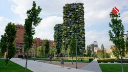 World Earth Day 2026: दुनिया के 10 इको-फ्रेंडली शहर, जो बदल रहे हैं शहरी जीवन की तस्वीर