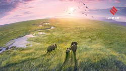 World Earth Day 2026: धरती को समझना है तो देखें ये 6 बेस्ट नेचर डॉक्यूमेंट्री