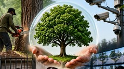 दिल्ली में पेड़ों को नुकसान पहुंचाया तो होगी जेल, 24 घंटे निगरानी के लिए ‘कंट्रोल रूम’ तैयार