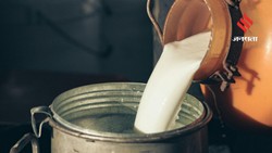 क्या आपका दूध है शुद्ध, घर बैठे करें मिलावट की पहचान, जानिए 6 आसान टेस्ट