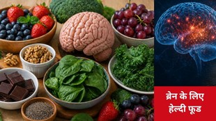 Memory boosting foods for kids, Brain food for children, याददाश्त बढ़ाने वाले फूड्स,Memory boosting foods for kids, Brain food for students, याददाश्त बढ़ाने के उपाय, दिमाग तेज करने वाले घरेलू नुस्खे,Best foods to improve concentration in children,