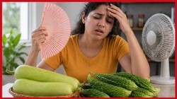 गर्मी में लौकी के साथ करेला क्यों नहीं खाना चाहिए? दोनों सब्जियां सेहत के लिए उपयोगी है फिर साइड इफेक्ट क्यों, डॉक्टर से जानिए