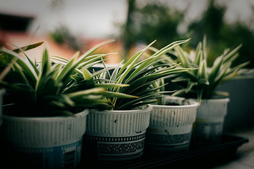Use Recycled Containers