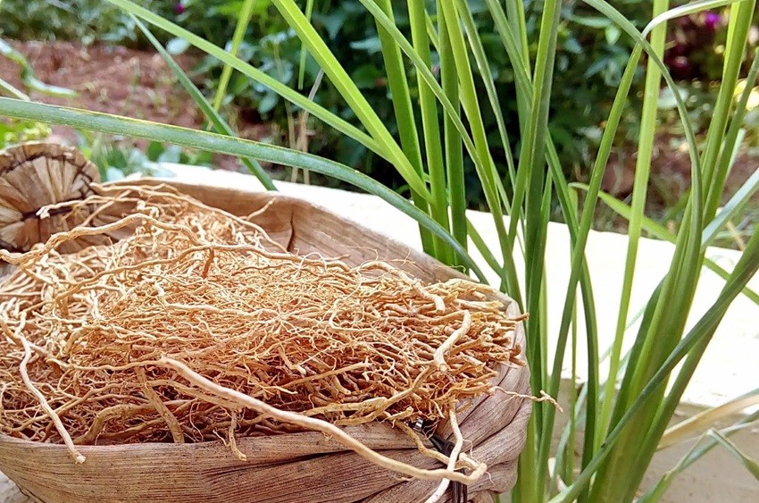 Vetiver Water