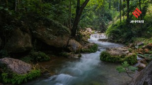 What Nature Does Silently That Humans Depend On Daily