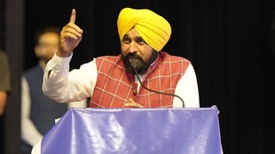 Punjab Agriculture, Basmati Rice, Centre of Excellence,