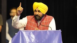 पंजाब में बासमती के लिए बनेगा सेंटर ऑफ एक्सीलेंस, नीदरलैंड मॉडल से खेती में आएगा बदलाव: भगवंत मान