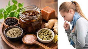 cough, home remedy for cough in monsoon, home remedy, cough home remedy, simple home remedy for cough, Cough Home Remedy, सर्दी खांसी का घरेलू इलाज, खांसी का घरेलू इलाज, क्रॉनिक खांसी को कैसे ठीक करें,खांसी का घरेलू इलाज,