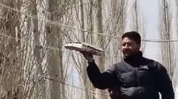 ईरान की मदद के लिए 25 हजार में खरीदा अंडा, लेह में हुई नीलामी