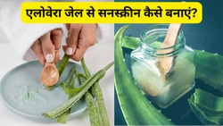 डबल फायदा! एलोवेरा में ये चीजें मिलाकर घर में बनाएं नेचुरल सनस्क्रीन, पैसे बचेंगे और धूप से नहीं जलेगी त्वचा